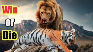 What Would Happen If Tigers Lived In Africa Together With Lions?  Would They Be Able To Survive?