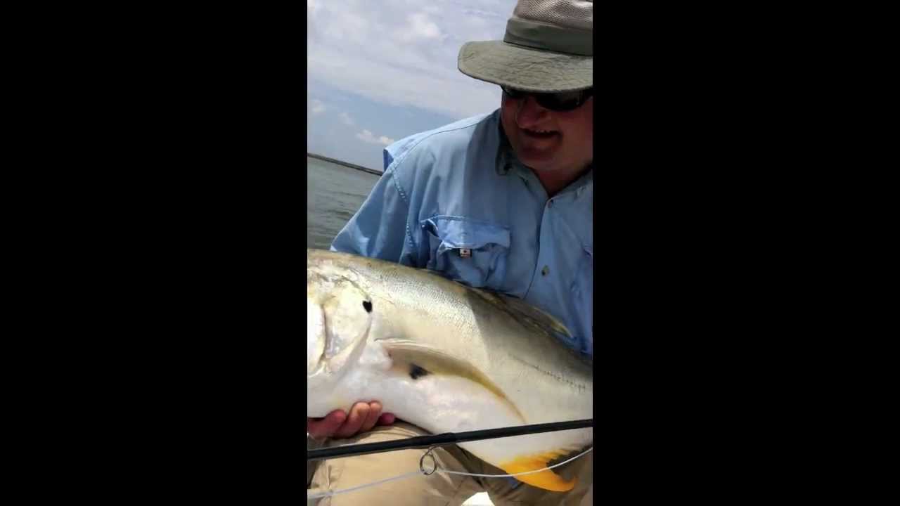 Fly Fishing for Jack Crevalle in Louisiana YouTube