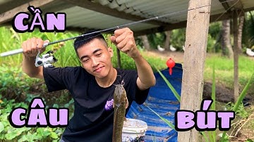 Câu Cá Bằng Cần Câu Máy Bút