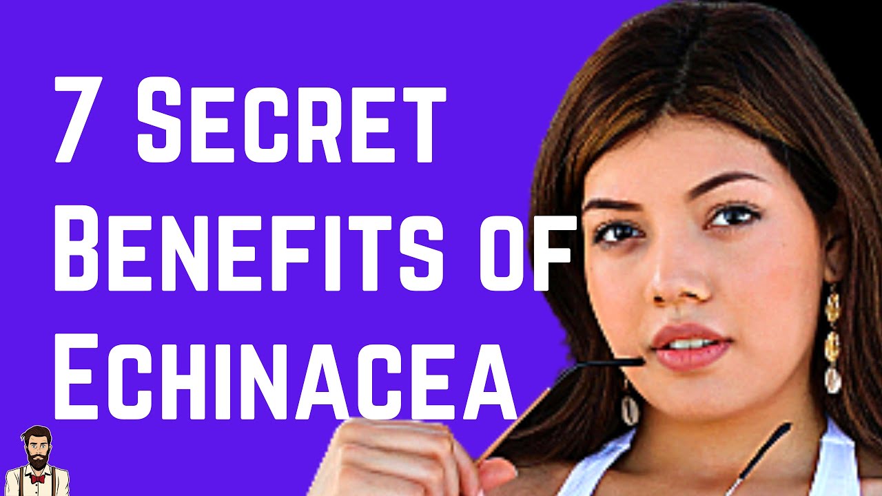 7 Benefits of Echinacea from Colds to Skin and Sexual Health