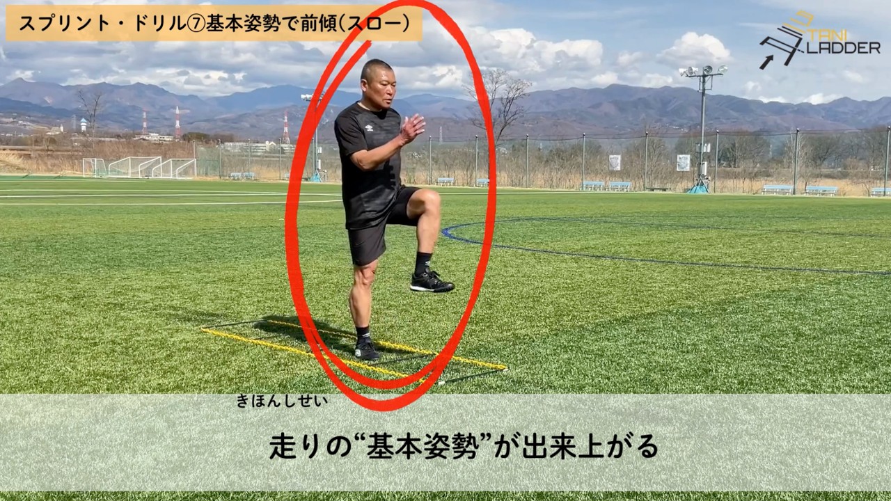 公式】タニラダー販売ショップ | 誰でも足が速くなる！谷真一郎コーチ監修