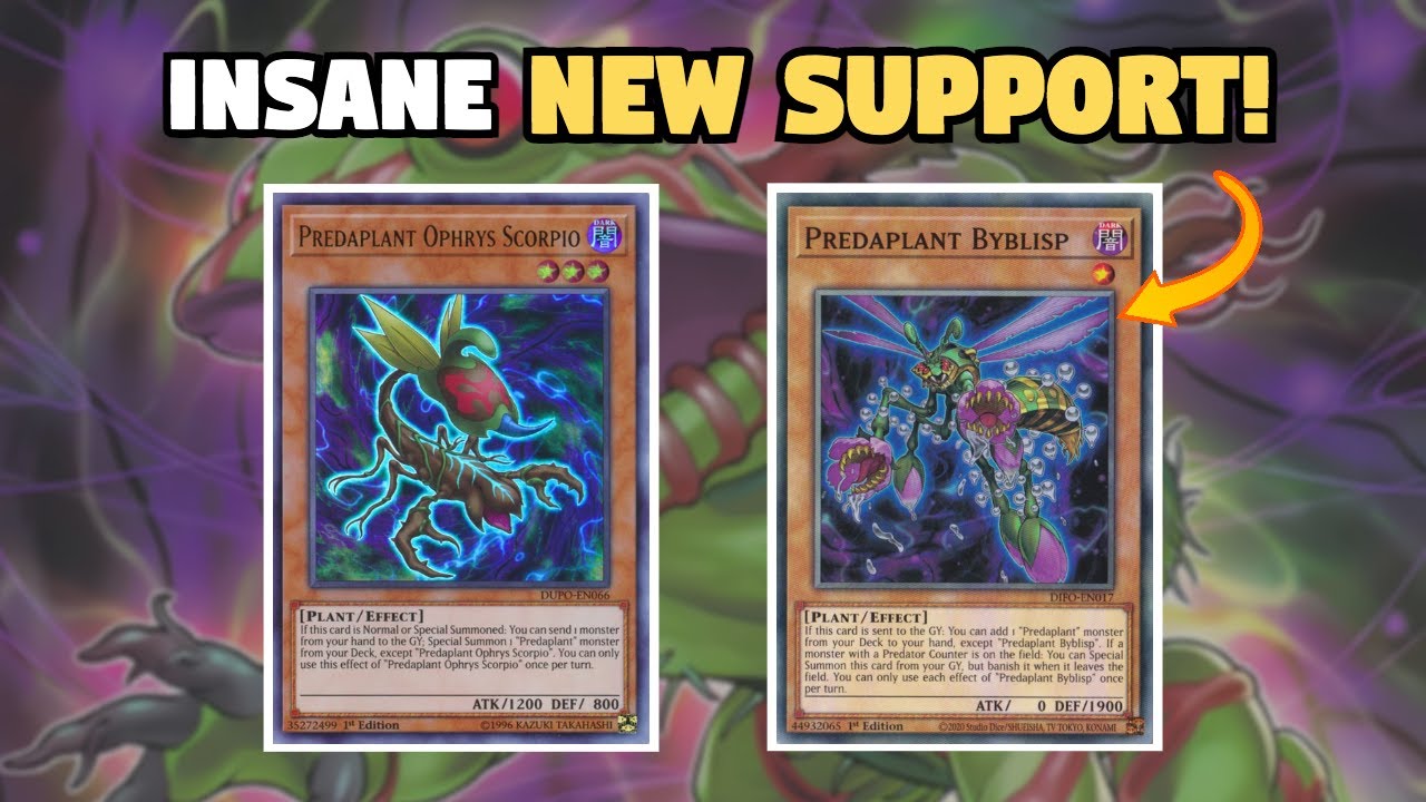 PURE! Predaplant Deck Profile! + COMBO! *IN-DEPTH*| June 2022