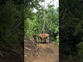 Maximize Your Palm Oil Production With The D6R XL Bulldozer 