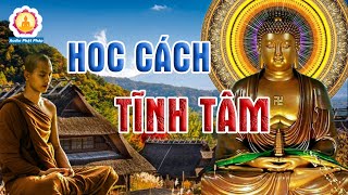 HỌC CÁCH TĨNH TÂM thì trí tuệ càng cao để cuộc sống thanh thản giác ngộ - Mới