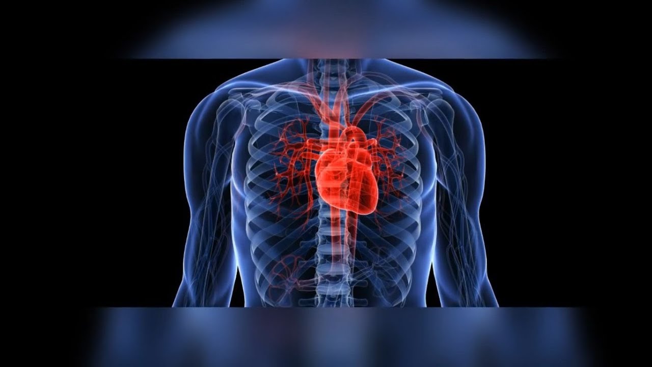 ТЕСТ ОЦЕНКА СОСТОЯНИЯ СЕРДЦА! Тест на здоровье сердца.