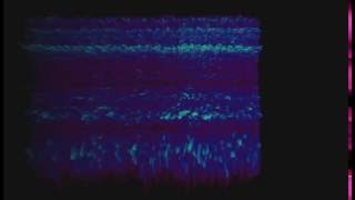 06_White Noise Spectrogram