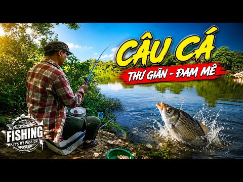 Quyết Nguyễn - Buổi Câu Cá Thư Giản Và Điểm Câu Sông Còn Nhiều Ẩn Số
