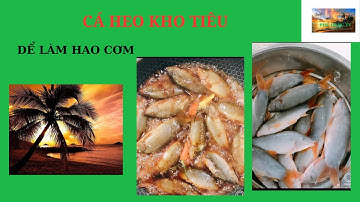 PHU QUOC TV | Cá Heo kho tiêu cách làm đơn giản nhất, hao cơm nhất.