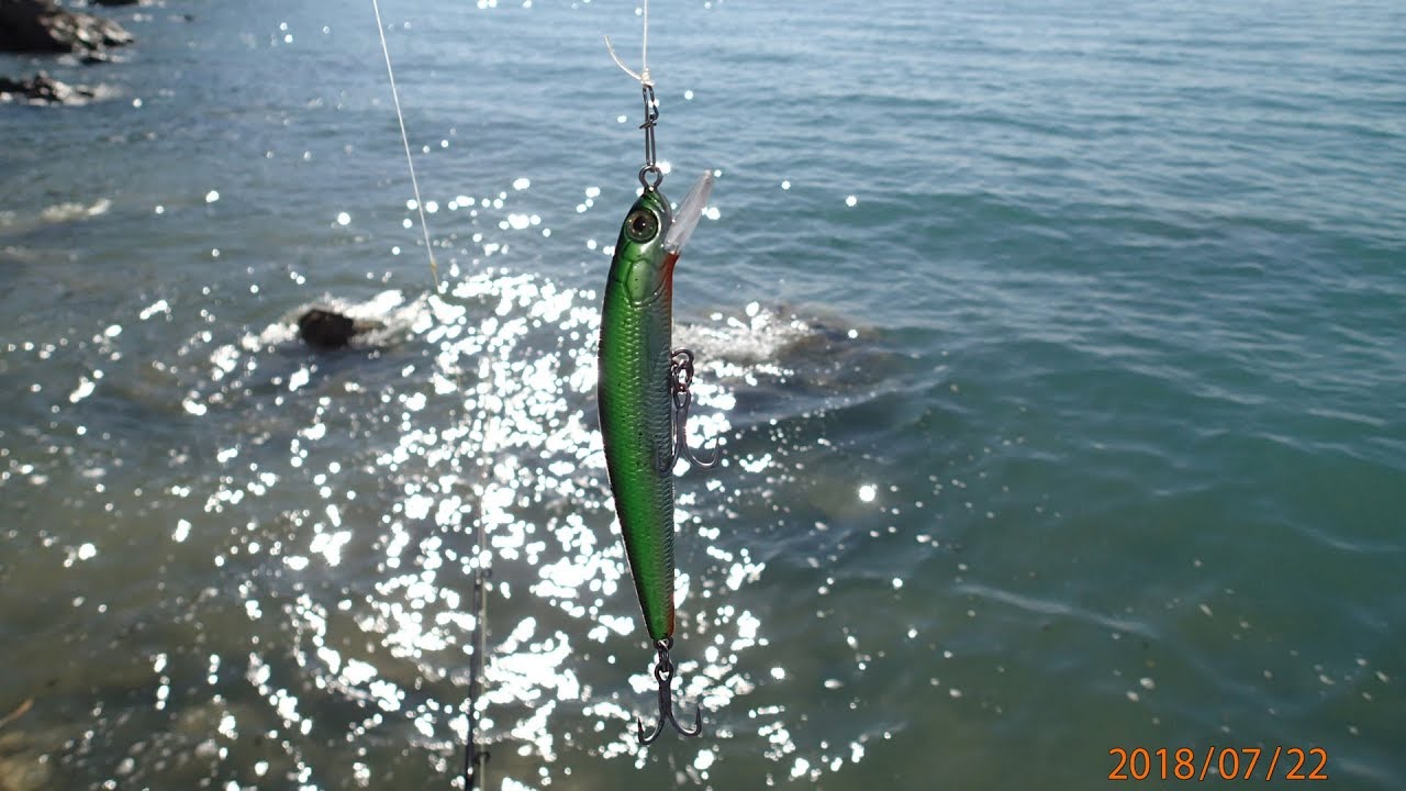 [Vol. 64] Rapala XR8 and Reidy's Lures Junior B52 are very Barramundi lures.