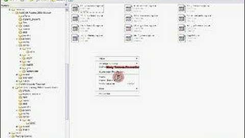 How to get the COT Into the Demo - Tutorial