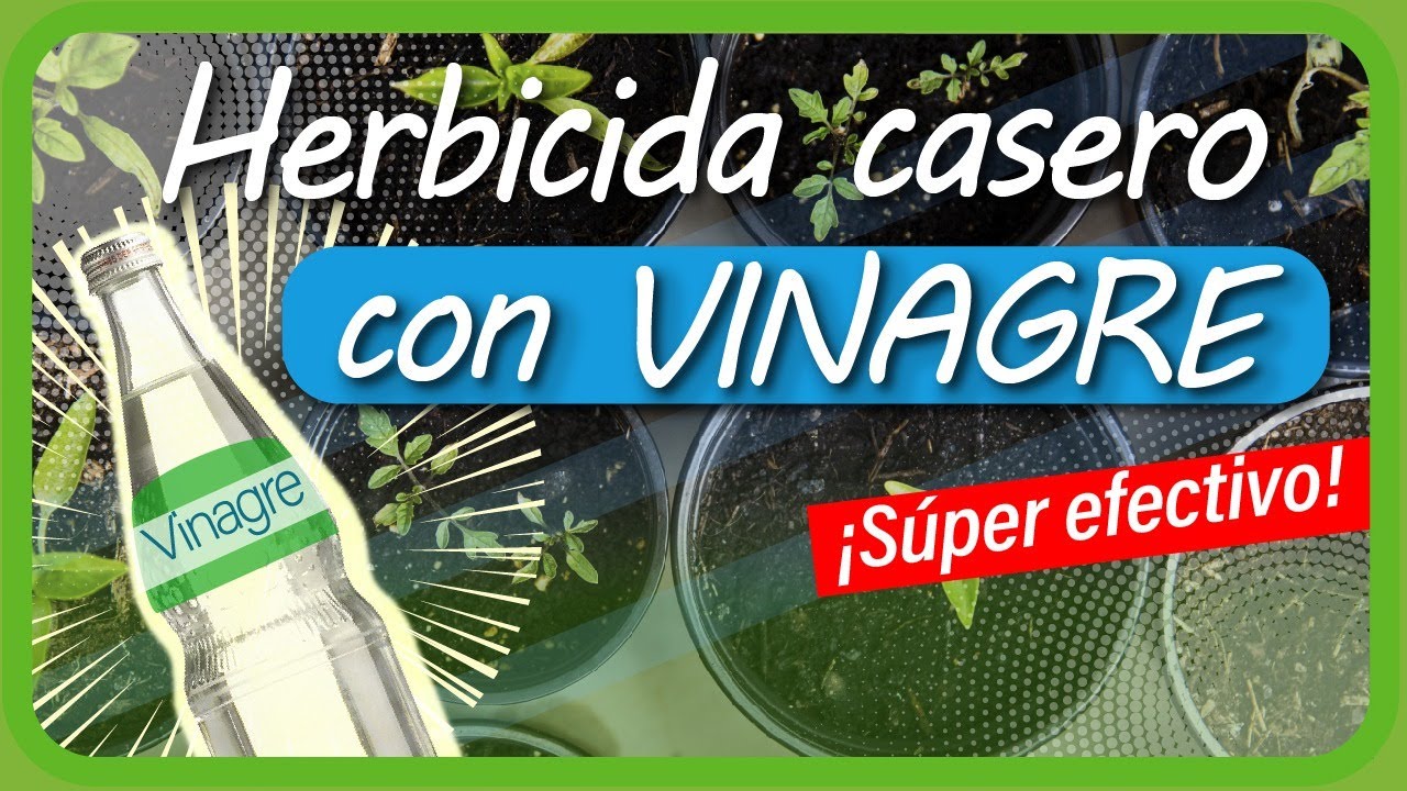 Vinagre ¡EL MÁS EFECTIVO Herbicida del mundo! ÚSALO para eliminar malas