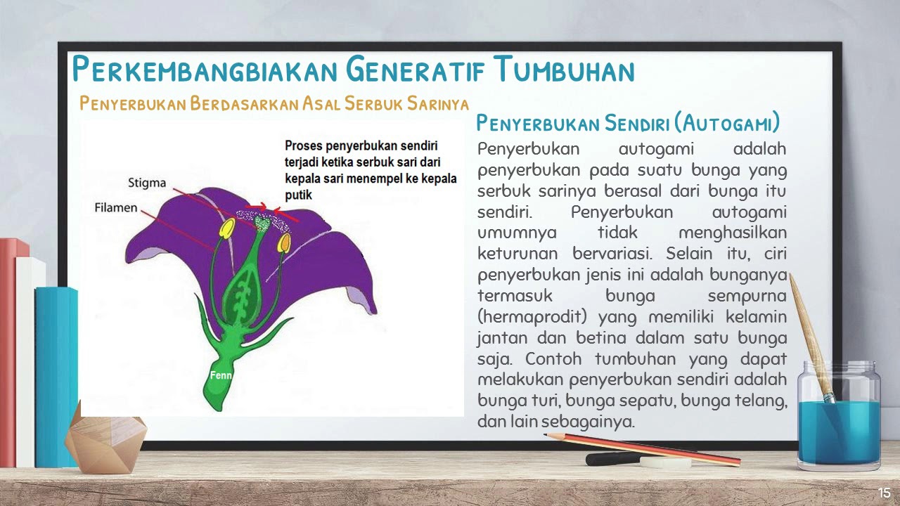 Perkembangbiakan Generatif Tumbuhan YouTube Perkembangbiakan Generatif Tumbuhan YouTube