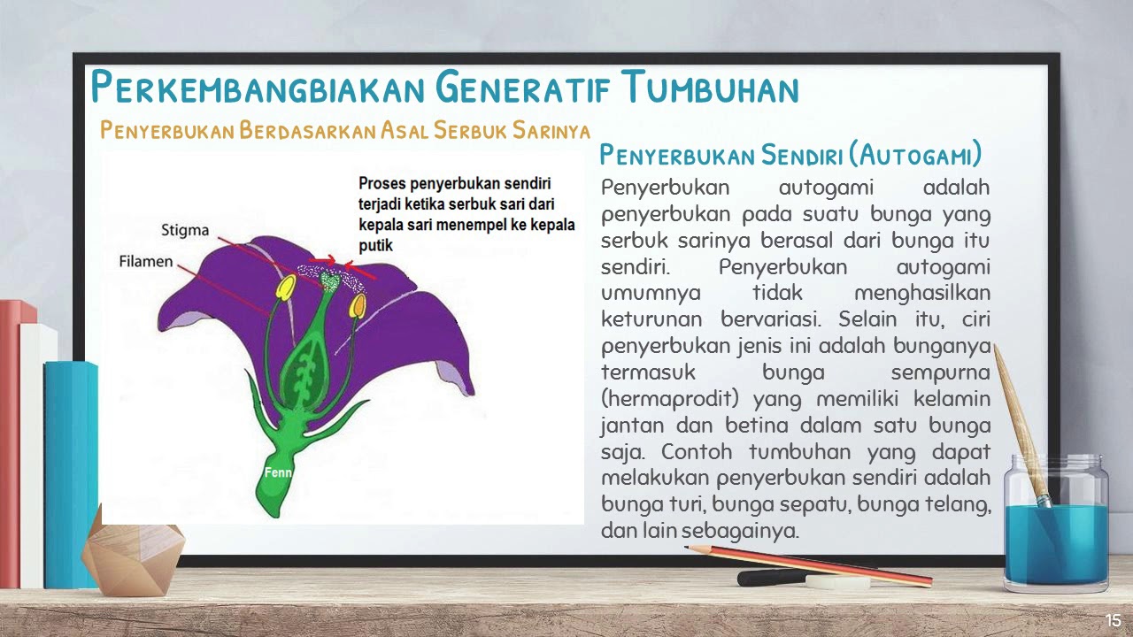  Perkembangbiakan Generatif  Tumbuhan YouTube