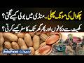 Peanut Farming In Pakistan - Chakwal’s Peanut Journey: From Fields To Market, Auctions, Our Kitchens