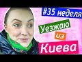 35 неделя 🤘 Уезжаю из Киева 😱 Хочется есть МЕЛ 👪 Семейные традиции 🕵 Кастинг