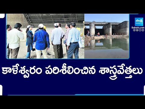 Scientists Visit Kaleshwaram Project | Medigadda Project |@SakshiTV - SAKSHITV