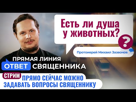 ЕСТЬ ЛИ ДУША У ЖИВОТНЫХ? ПРОТОИЕРЕЙ МИХАИЛ ЗАЗВОНОВ. ОТВЕТ СВЯЩЕННИКА