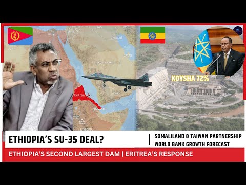 Ethiopia S Jet Deal Leak Eritrea S Reply Horn Of Africa Weekly News
