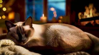 Purring Cat Sounds ASMR 🔥 Cozy Evening Fireplace & Siamese Cat Sleeping Purr Noises to Help Sleep