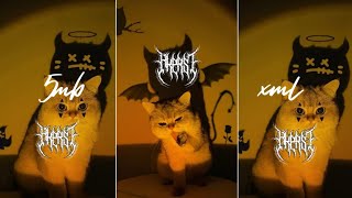 Download Lagu preset am dibawah 5mb+ xml melody enakeun Wolfgang viral trend tiktok MP3