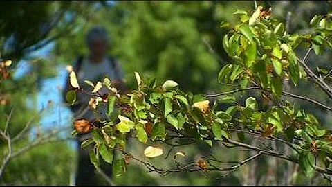 Finding Minnesota: Superior Hiking Trail