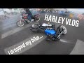 Harley Stunt Ride (MotoVlog