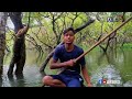 ⛵ Ratargul Swamp Forest । রাতারগুল জলাবন ভ্রমণ । Sylhet Tour । Abbro #sylhet  @abbrovlog #ratargul ⛵