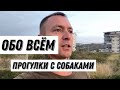 Наша жизнь в Турции , Прогулки с собаками