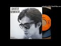 「AMERICA」浜田省吾 (VINYL)