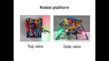 Jump stabilisation using a spider-like dragline