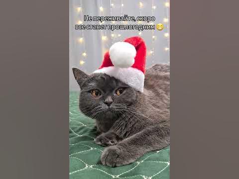 пусть проблемы и невзгоды унесут единороги 😁 - YouTube