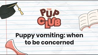 Is Your Puppy Sick? When to Worry About Vomiting