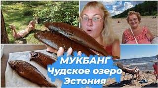 Эстония.Цены на рыбу на Чудском озере.Мукбанг.Копченый сиг.Рыба горячего копчения.Дачные блоги