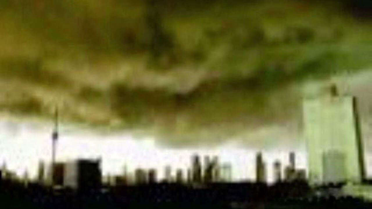 Unidentified song ("Sheep With Smartphone")