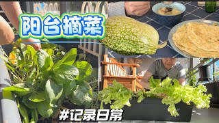 阿婆阳台收菜 阿公煮鱼翅瓜猪骨汤+新款葱油饼  【Garden Time 田园生活分享】2025 10