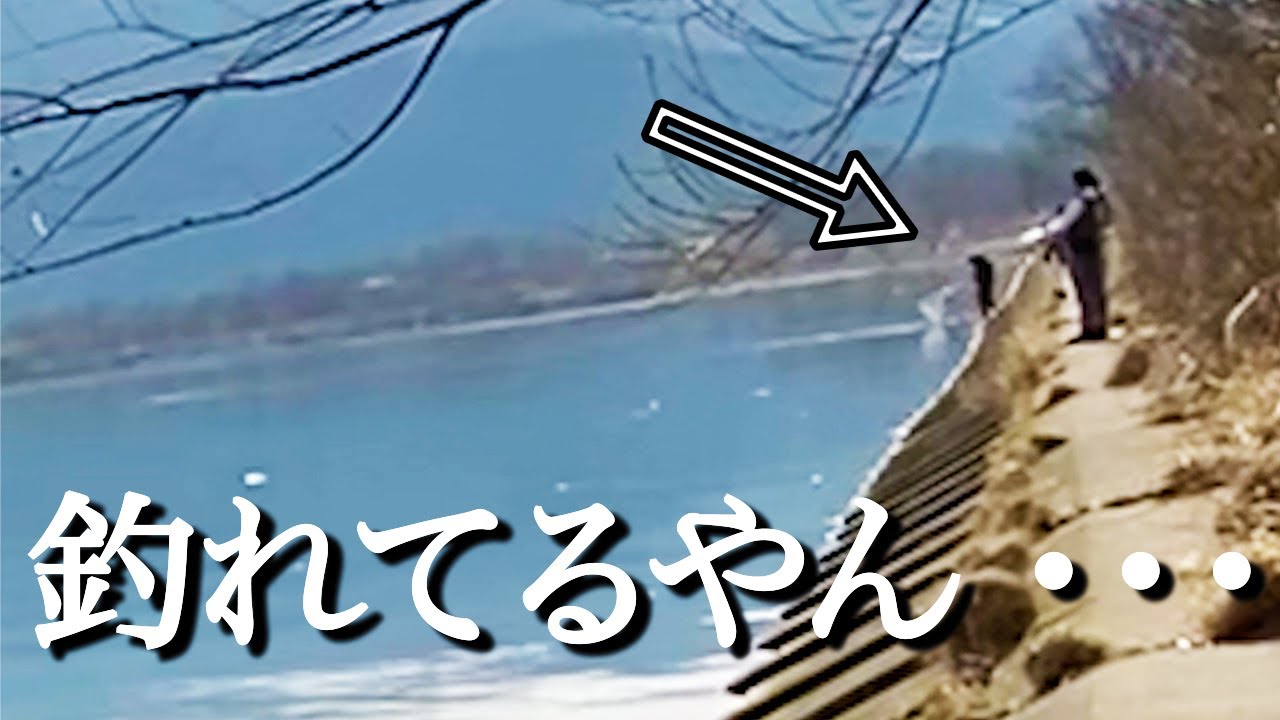 桜鱒 サクラマス 釣行part5 いや 奥で釣れてるやん 宮城県旧北上川 追波川 Youtube