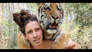 Tiger Tropical Paradise with Kody Antle! by Myrtle Beach Safari 19,240 views 1 year ago 3 minutes, 2 seconds