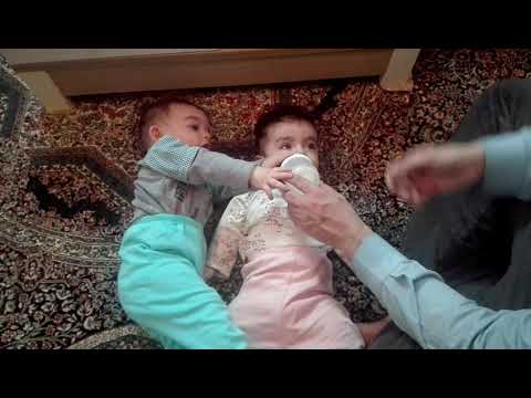 دوقلوها 1