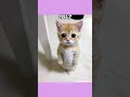 Where Are The Famous Memes Now?💔🕊️ (ThenVsNow) #shorts