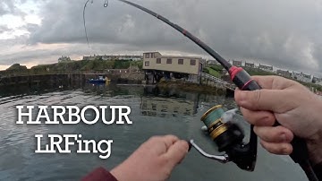 Multi Species Harbour LRF Fishing in Scotland