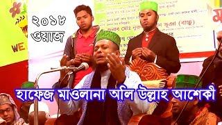 হাফেজ মাওলানা অলি উল্লাহ আশেকী সাহেব ।। Hafez Mowlana Oli Ullah Asheki |। Bangla new waz 2018