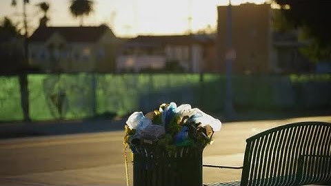 Garbage Bin Stock Video