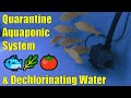 Aquaponics Quarantine System for New Fish & Dechlorinating Water with Ascorbic Acid