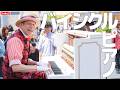 バイシクルピアノ ~ 美女と野獣 "Be Our Guest" / アラジン"A Whole New World" ほか in 東京ディズニーランド