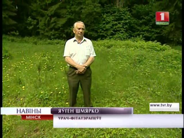 Травушка-муравушка