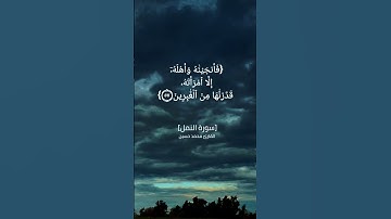 سورة النمل الآية ٥٥ الى ٥٨ بصوت القارئ محمد حسين