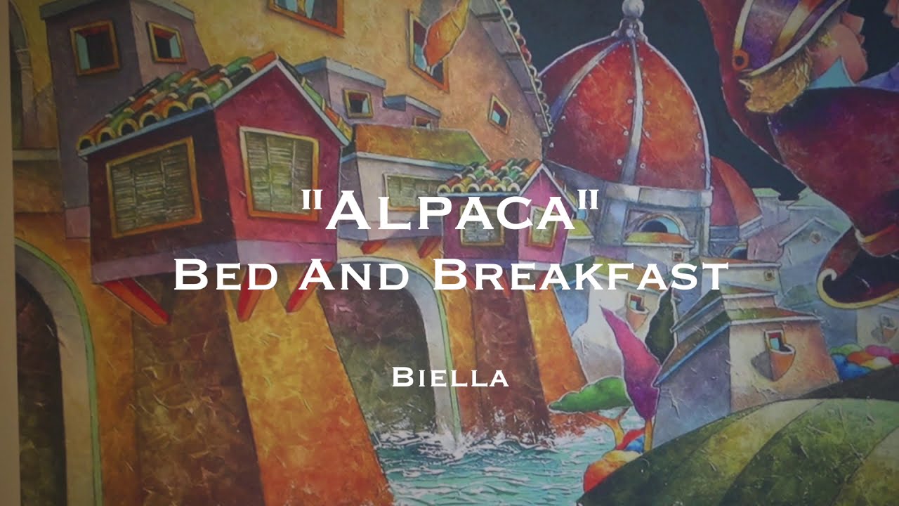 Alpaca - Bed and Breakfast a Biella - YouTube