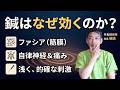 【鍼はなぜ効くのか? 】ファシアと自律神経からわかりやすく解説! #鍼治療#岐阜市#鍼灸院#東洋医学#鍼はなぜ効く#ファシア#筋膜#自律神経