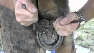Vettec Adhere ShoeRemoval
