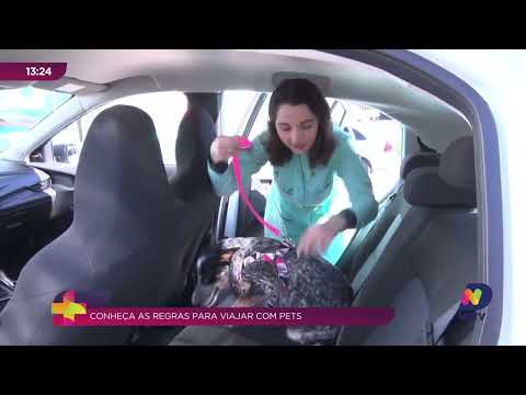 7 Dicas Essenciais para Proteger Seu Pet no 4 de Julho